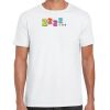 Mens Softstyle Tee Shirt Thumbnail